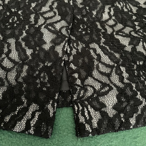 The Limited Lace Skirt - Picture 6 of 10